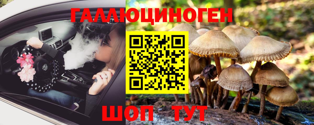 Псилоцибиновые грибы Magic Shrooms Ковров