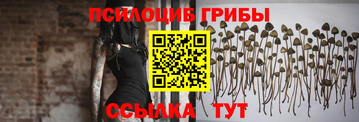 Ковров  Псилоцибиновые грибы Magic Shrooms  Вход с VPN 